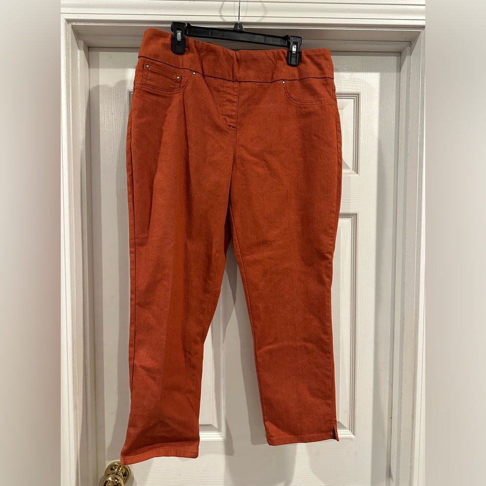 Ruby Rd. Ankle pants size 14